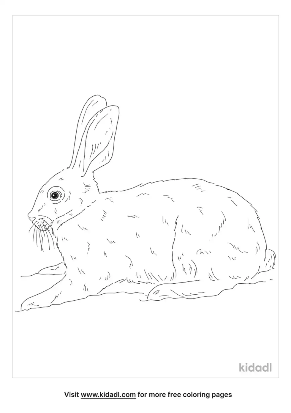 Riverine Rabbit Coloring Page