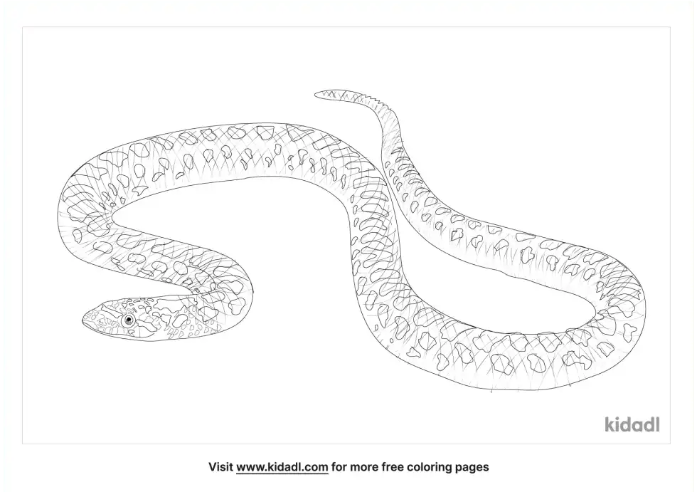 Glossy Snake Coloring Page