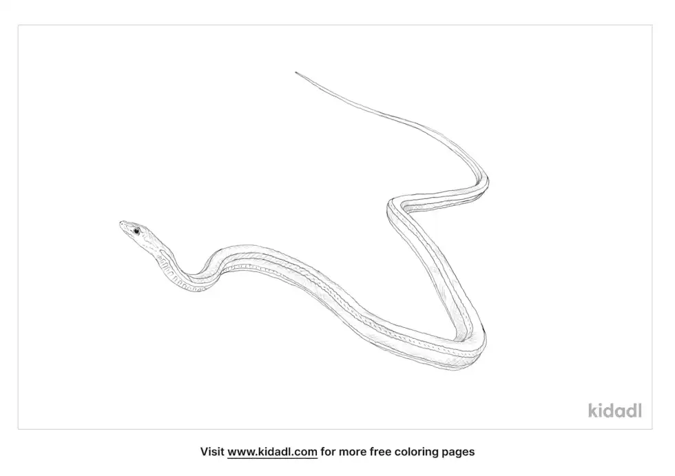 Striped Racer Coloring Page