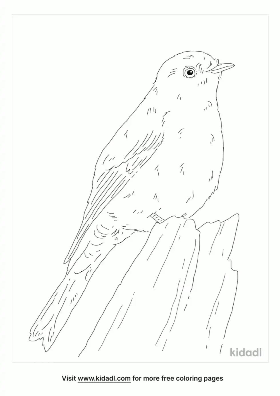 Townsends Solitaire Coloring Page