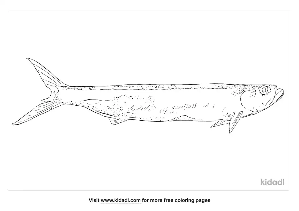 Wolf Herring Coloring Page