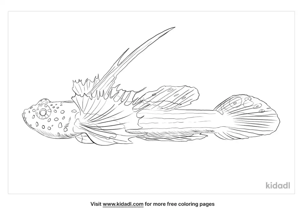 Griessingeri Goby Coloring Page