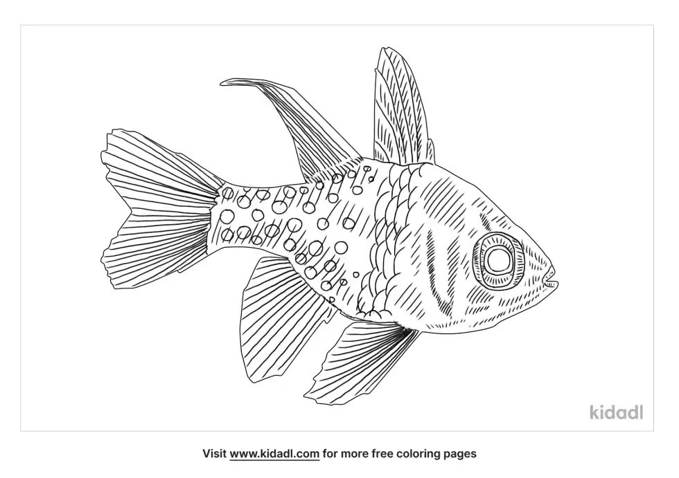 Pajama Cardinalfish Coloring Page