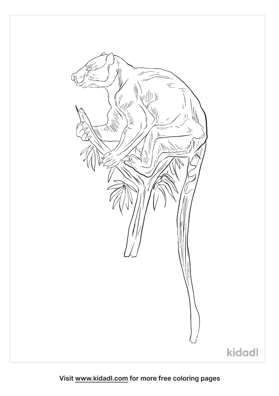 Tenkile Coloring Page