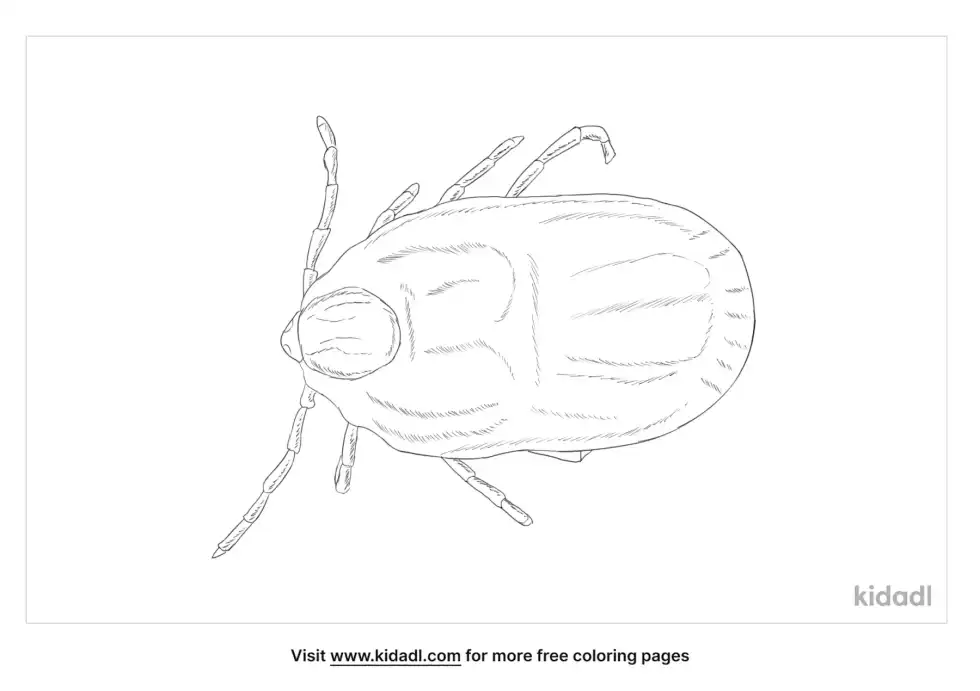 Brown Dog Tick Coloring Page