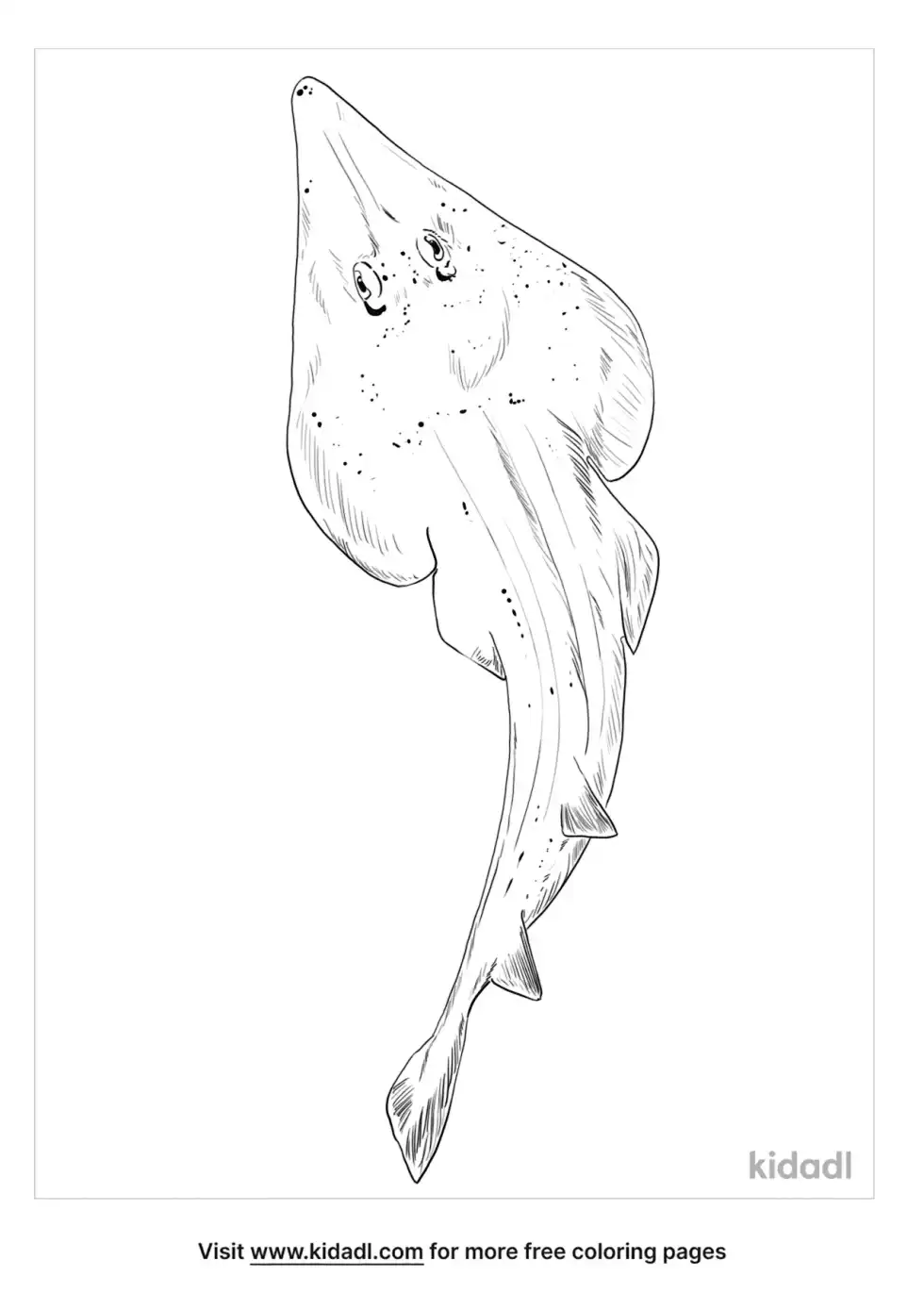 Shovelnose Guitarfish Coloring Page