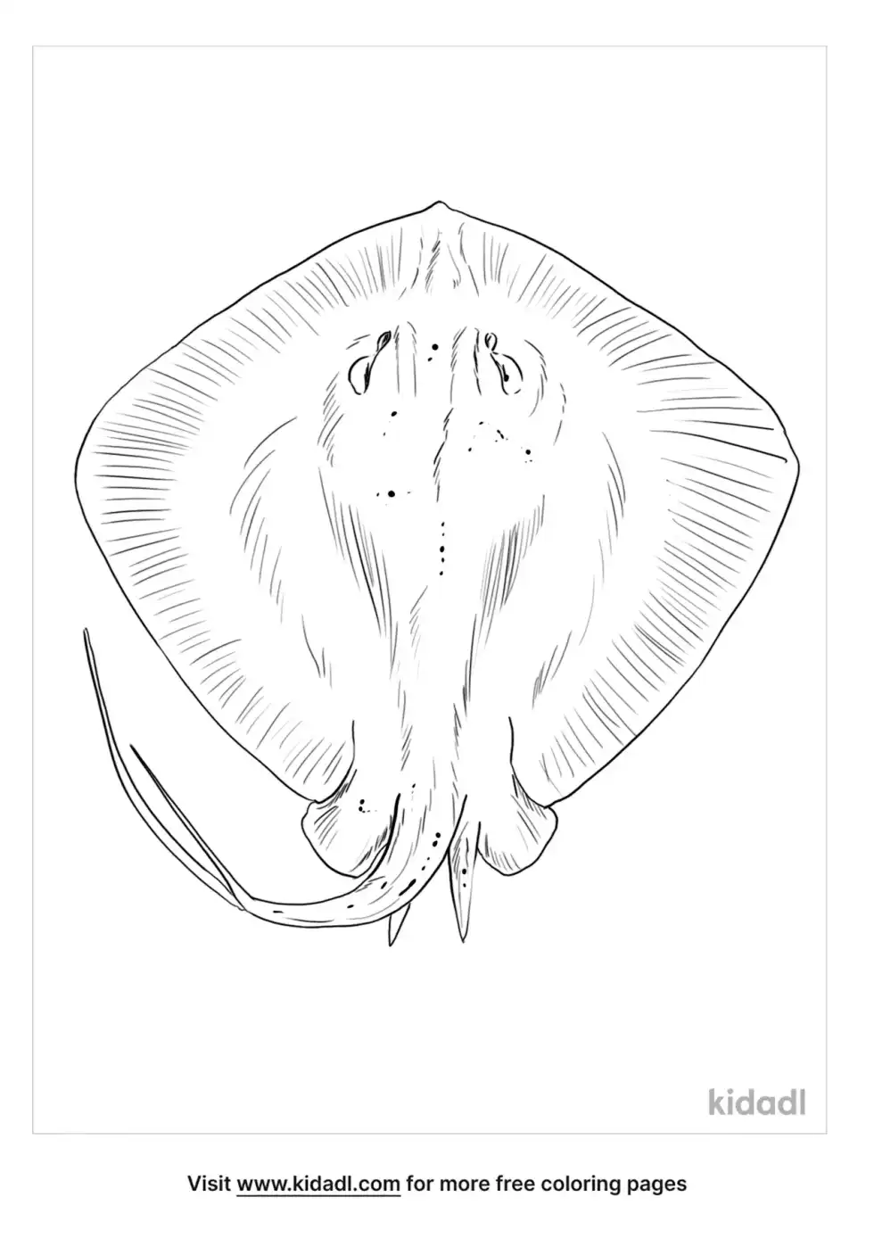 Short Tail Stingray Coloring Page