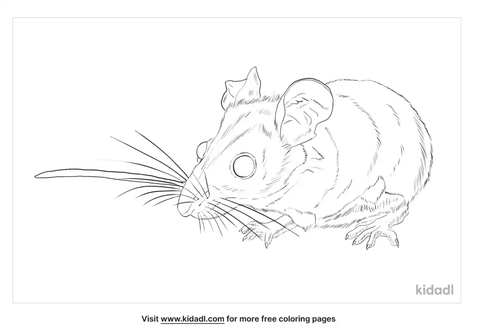 Cactus Mouse Coloring Page