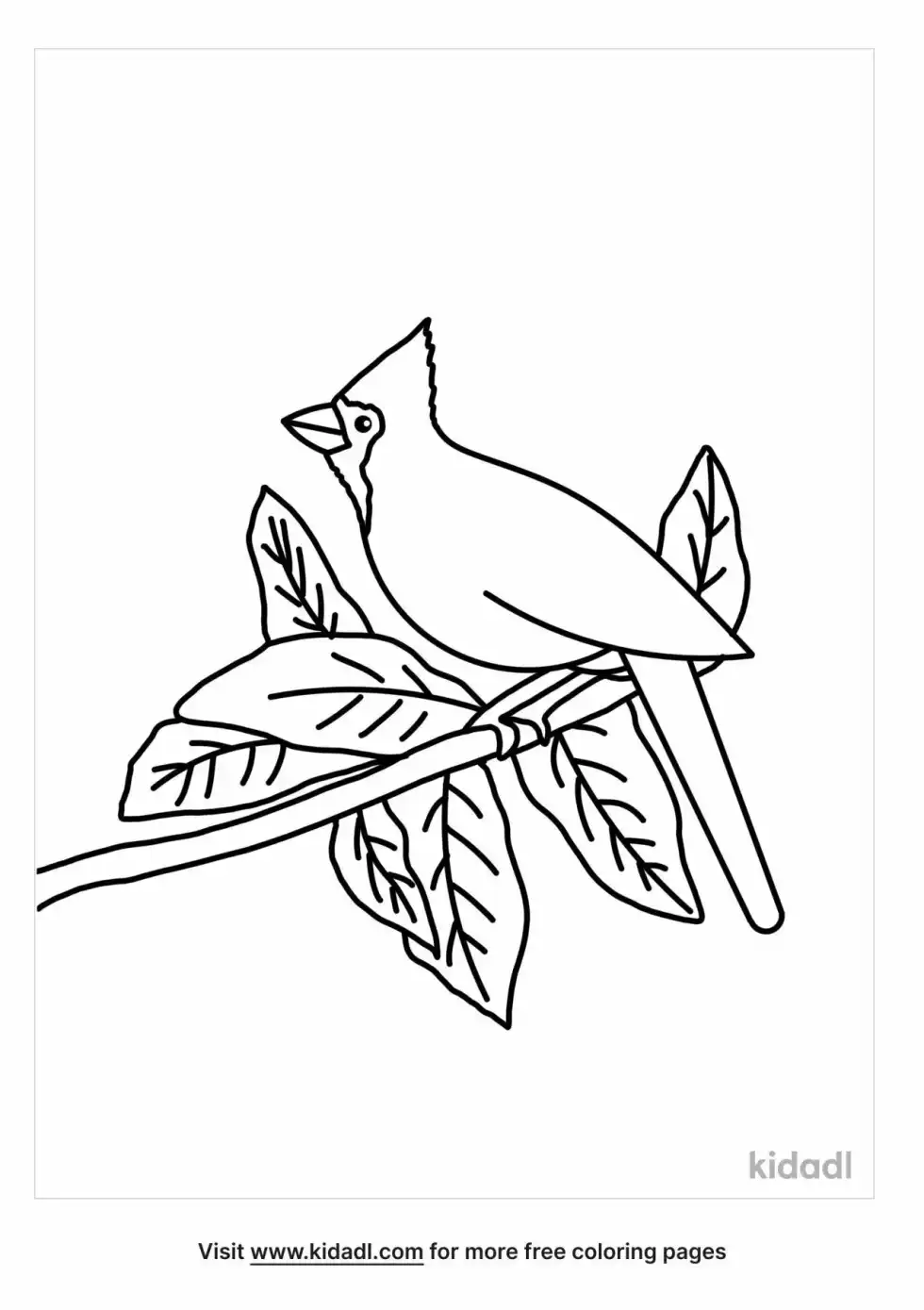 Medieval Cardinal Coloring Page