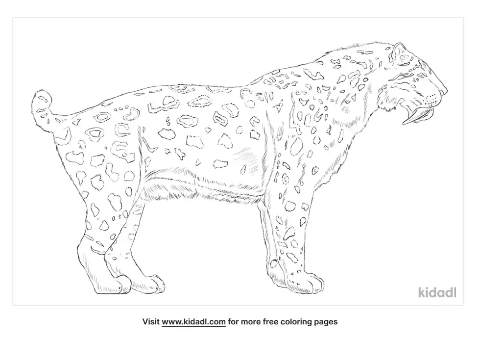 Saber-Toothed Cat Coloring Page