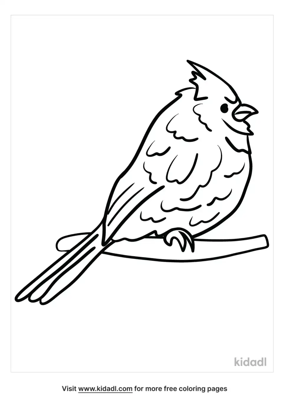 Cardinal Carolina Coloring Page