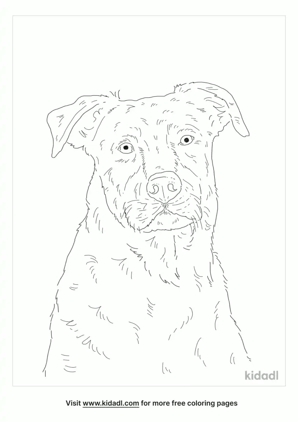 Doberdor Coloring Page