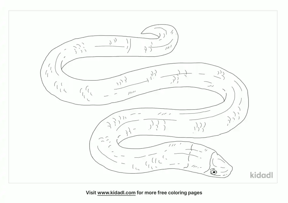 Ground Snake Coloring Page
