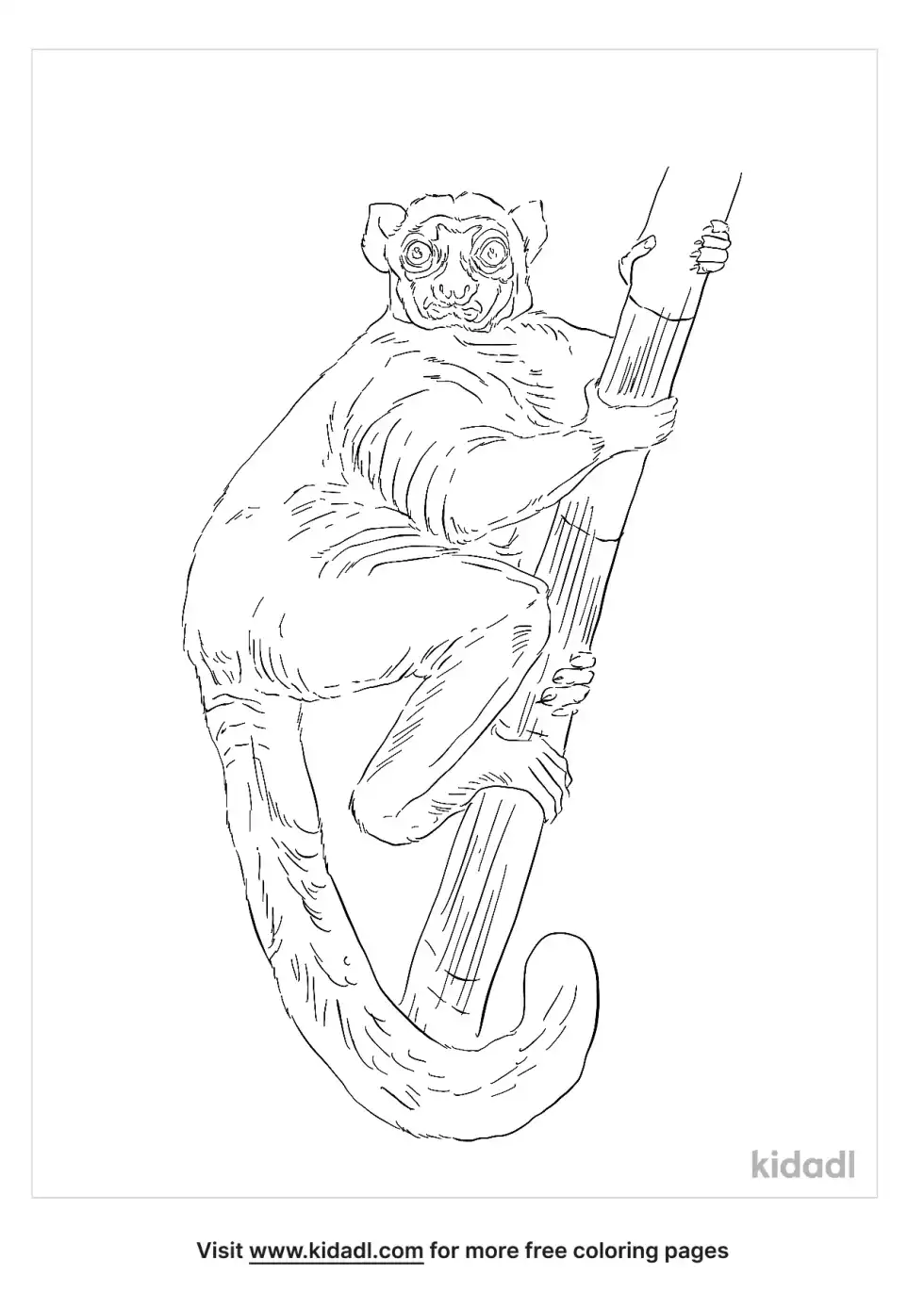 Bamboo Lemur Coloring Page