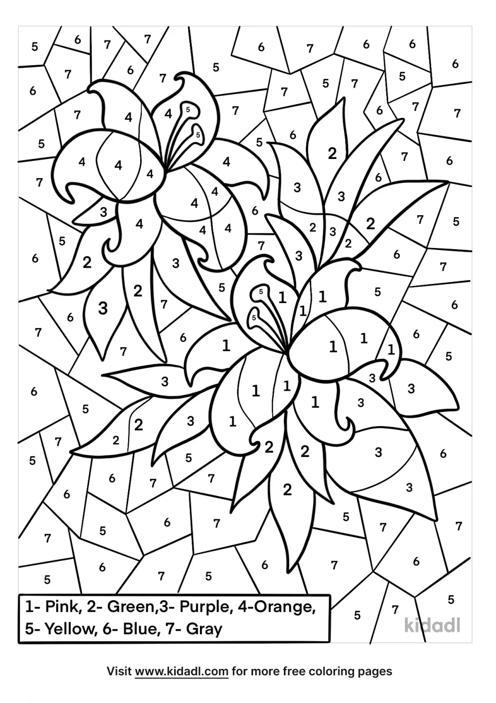 Difficult Color By Numbers Coloring Page