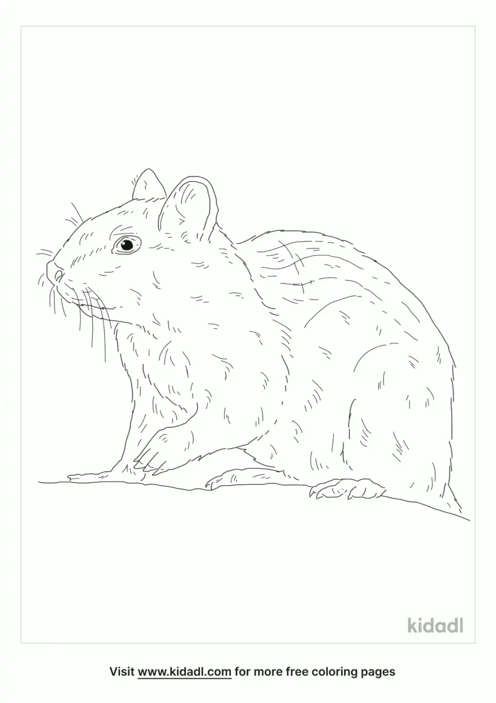 Ground Squirrel Coloring Page