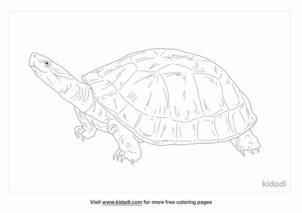 Golden Coin Turtle Coloring Page