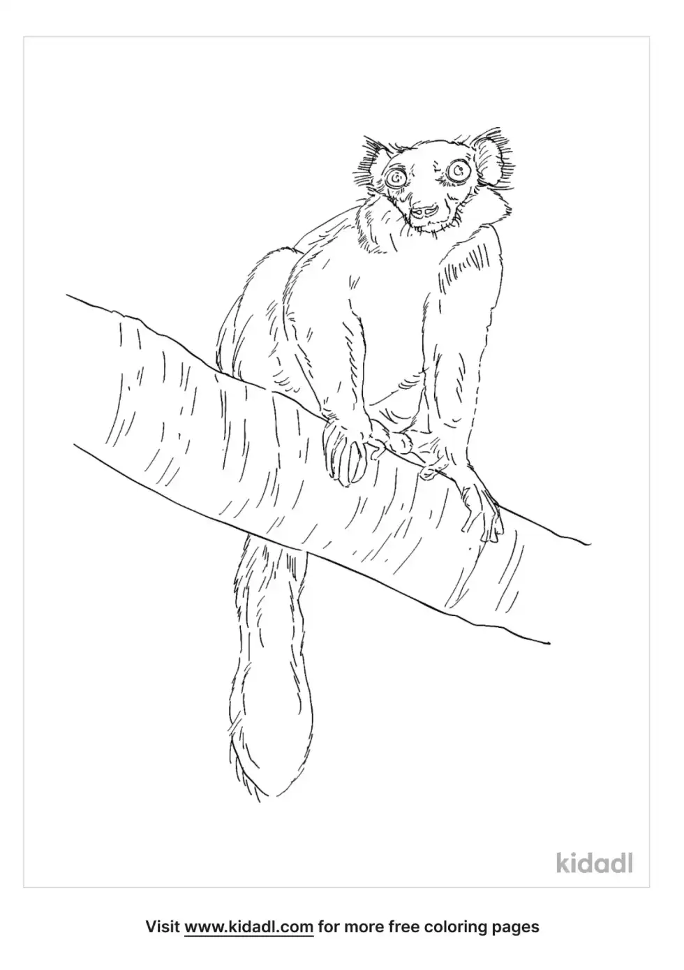 Black Lemur Coloring Page