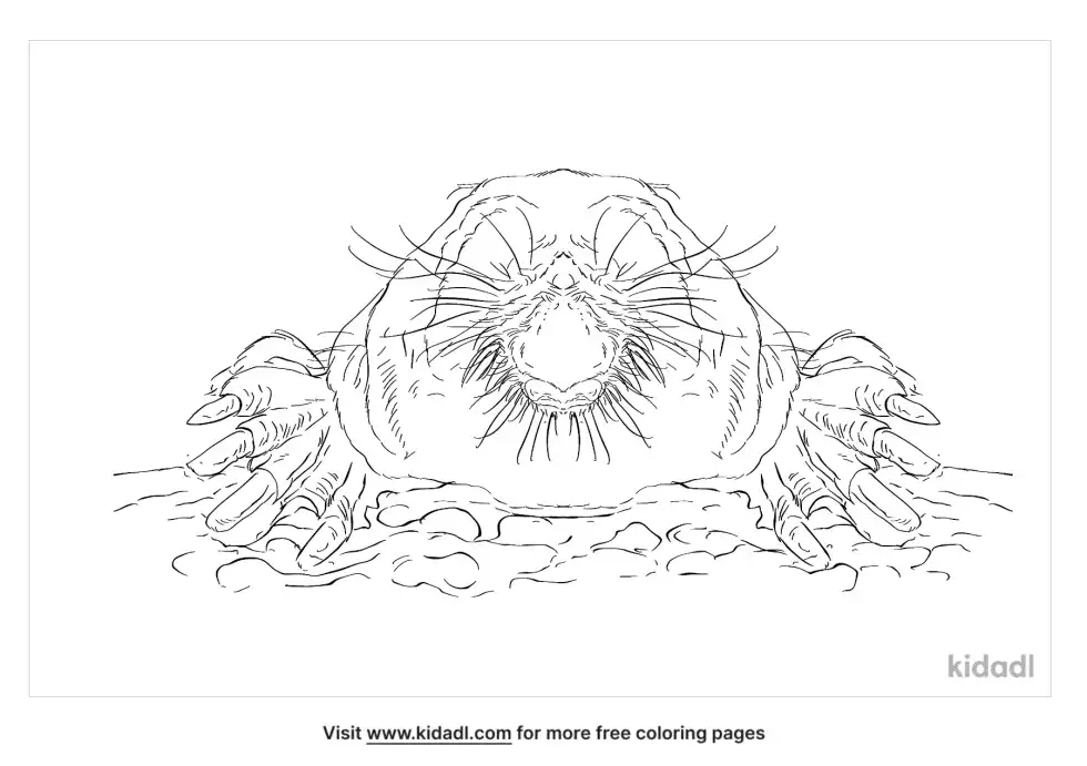 Echigo Mole Coloring Page