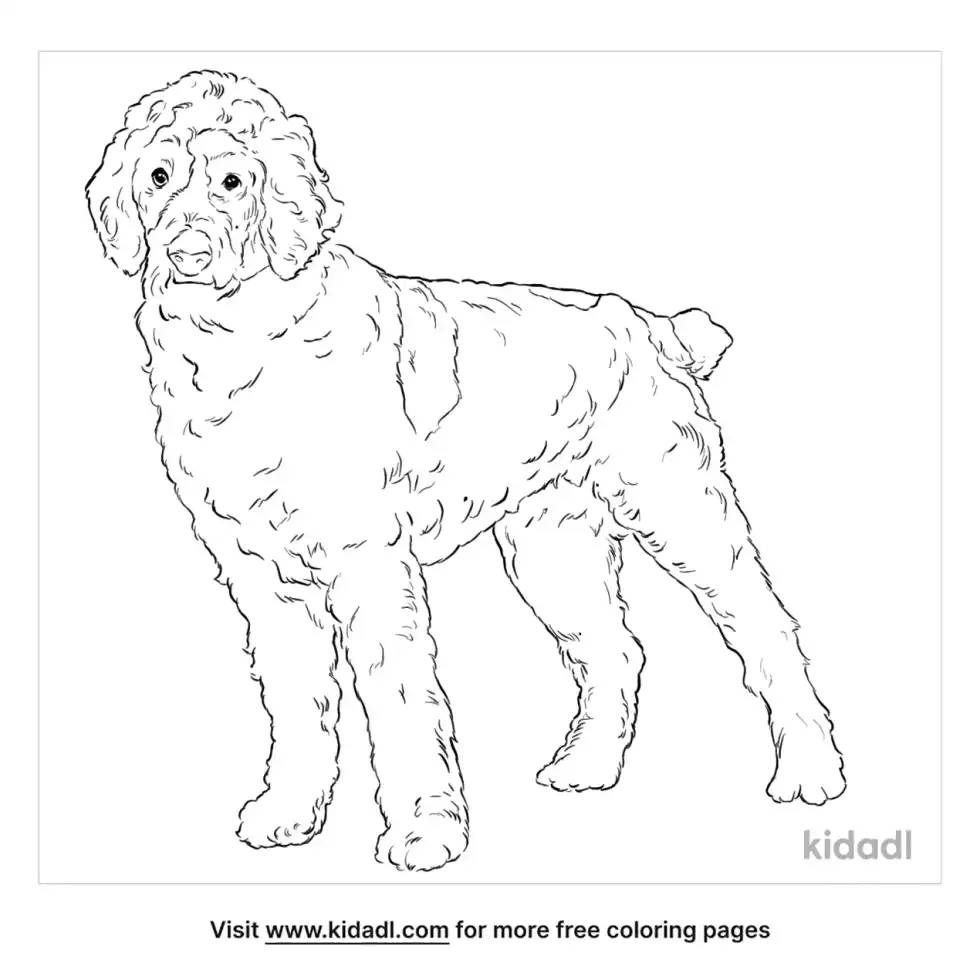Dalmadoodle Coloring Page