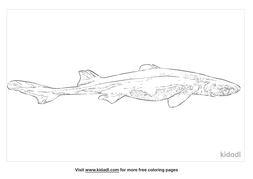 Green Lanternshark Coloring Page