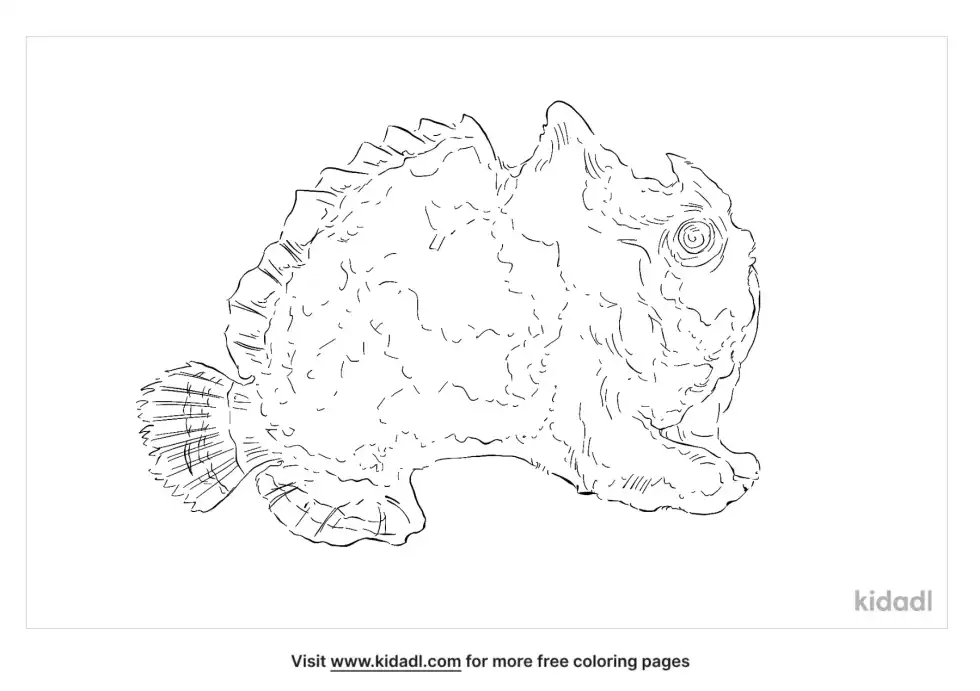 Pygmy Anglerfish Coloring Page