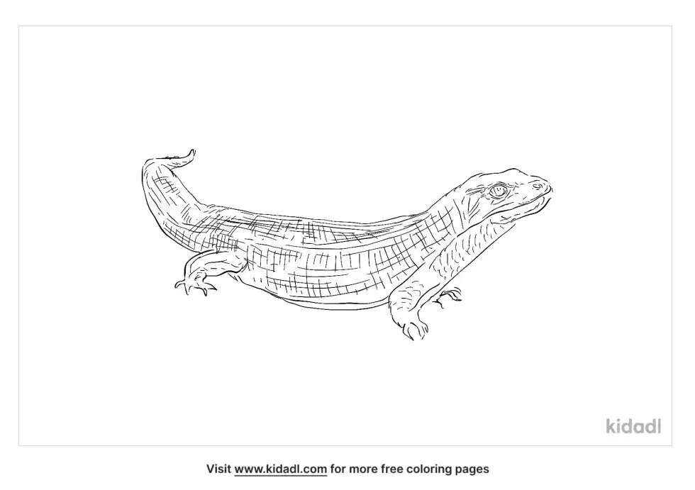 Sudan Plated Lizard Coloring Page