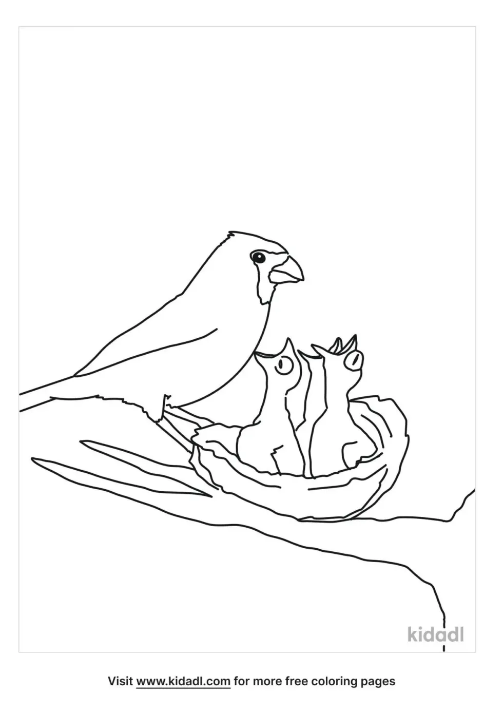 Baby Cardinal In Her Nest Coloring Page