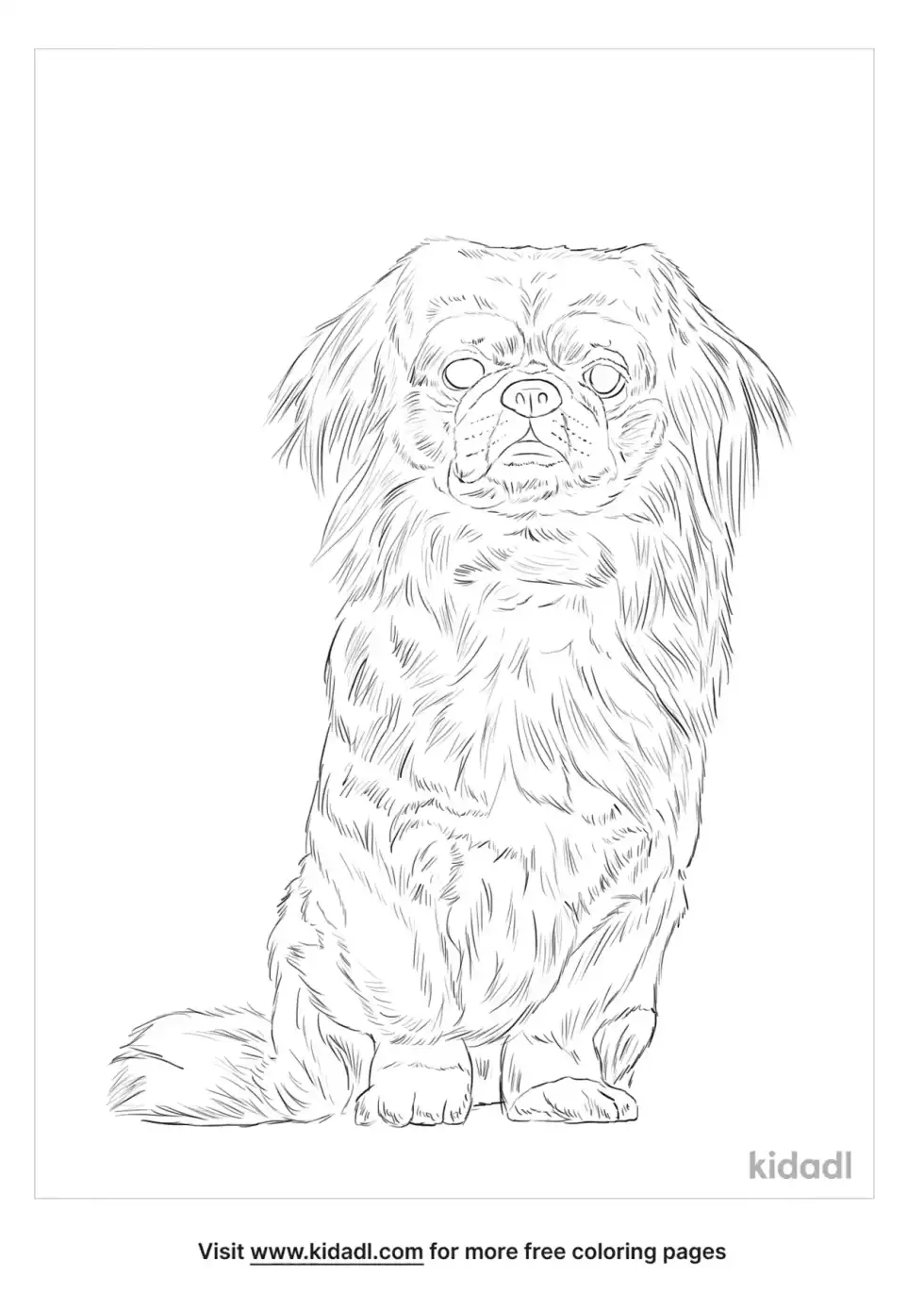 Pekingese Pug Mix Coloring Page