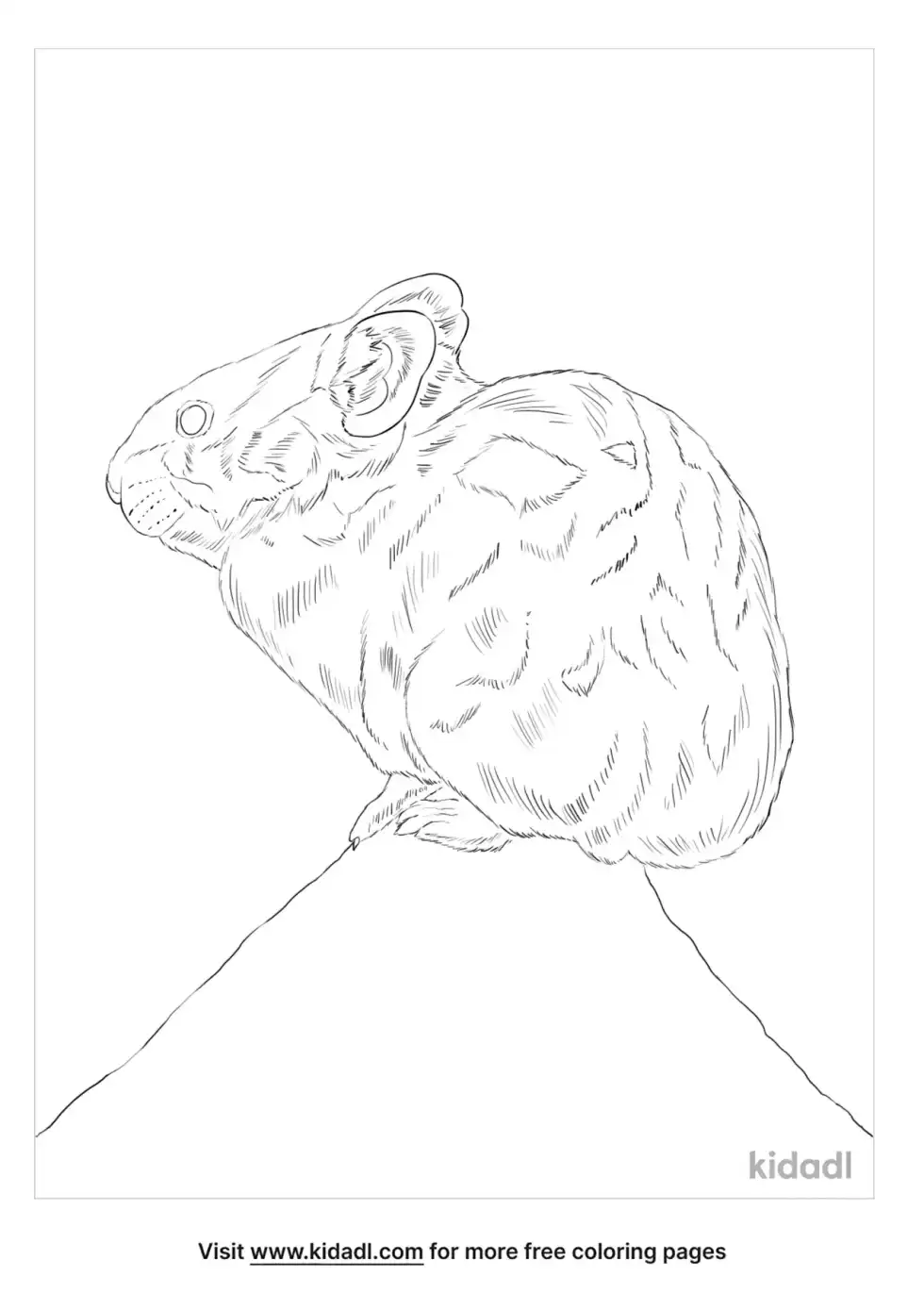 American Pika Coloring Page