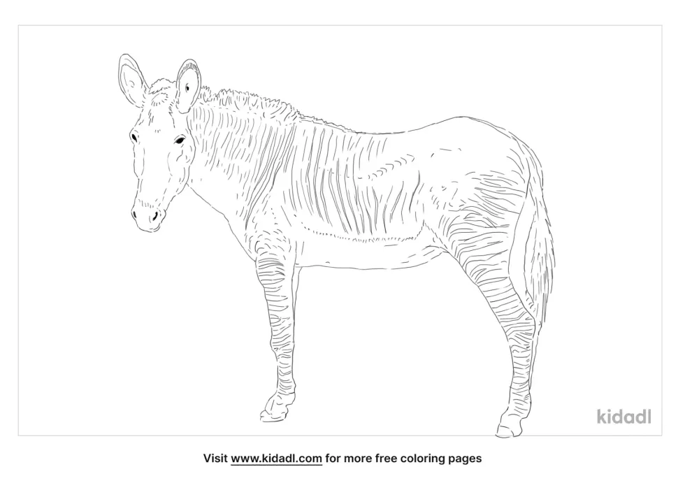 Zonkey Coloring Page