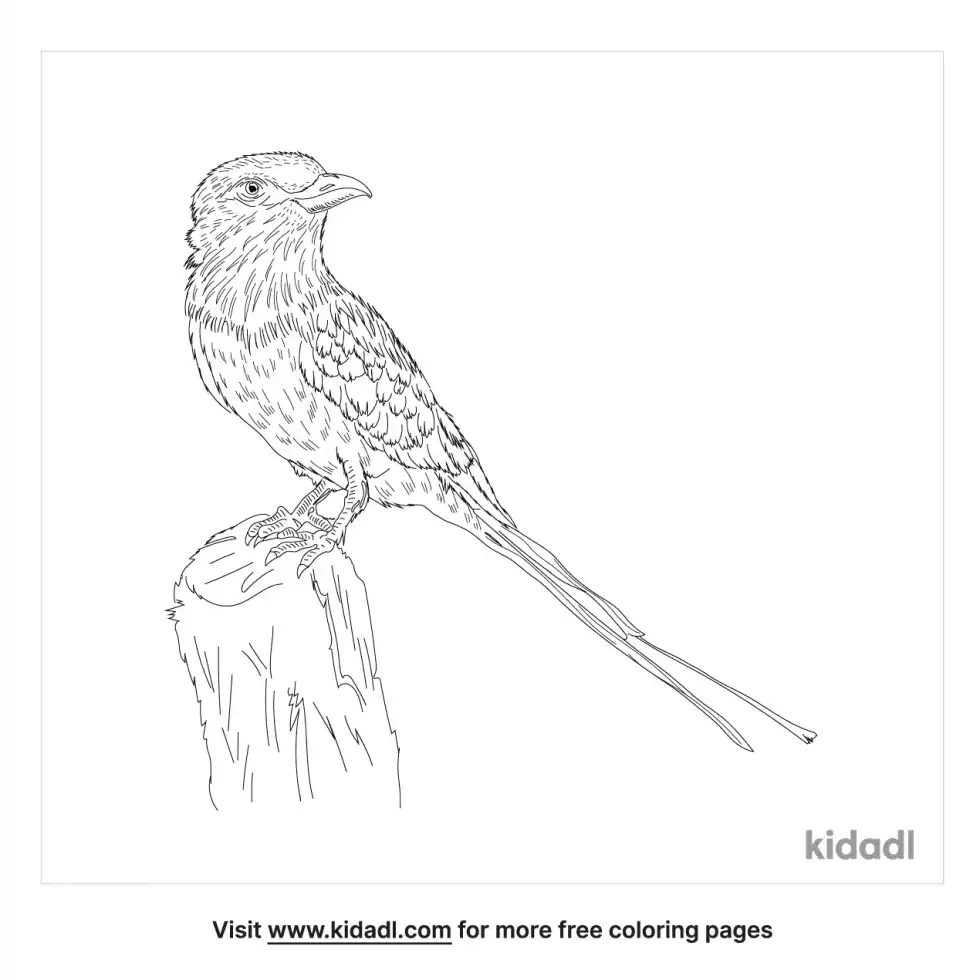 Abyssinian Roller Coloring Page
