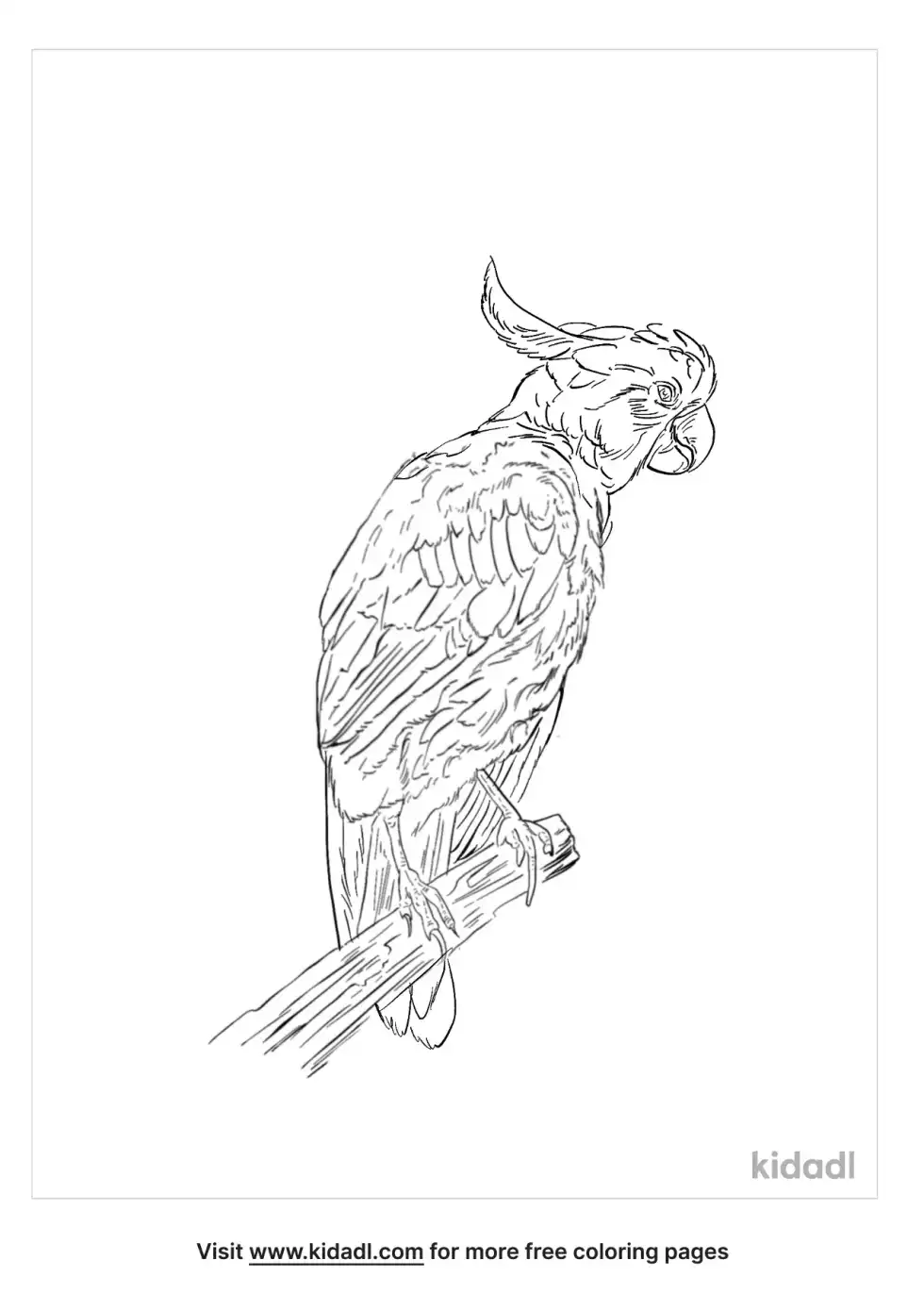 Tanimbar Corella Coloring Page