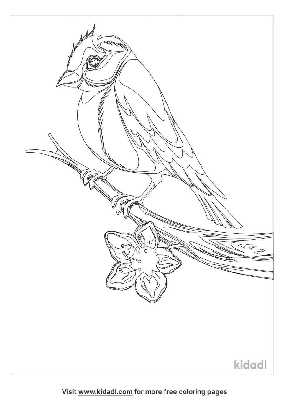 Eastern Goldfinch And Violet Coloring Page