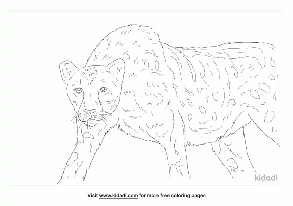 King Cheetah Coloring Page