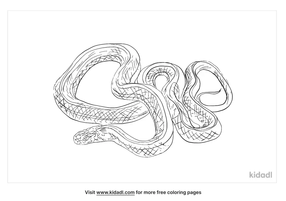 Aquatic Garter Snake Coloring Page