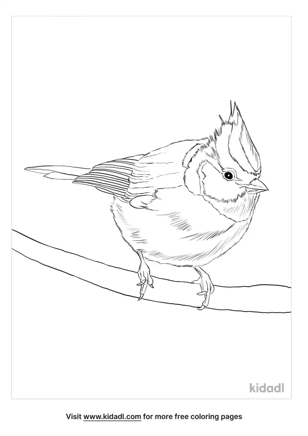 Bridled Titmouse Coloring Page
