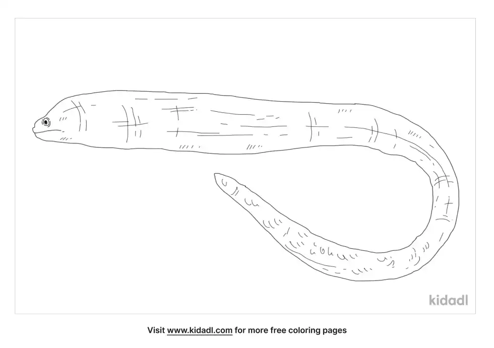 Gymnothorax Tile Coloring Page