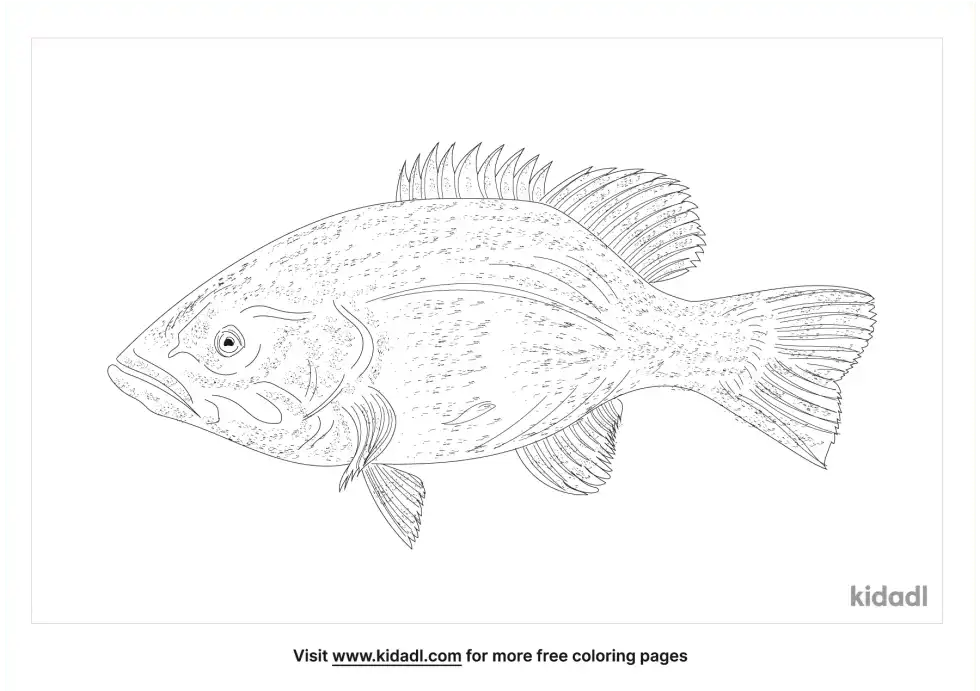 Atlantic Whitefish Coloring Page