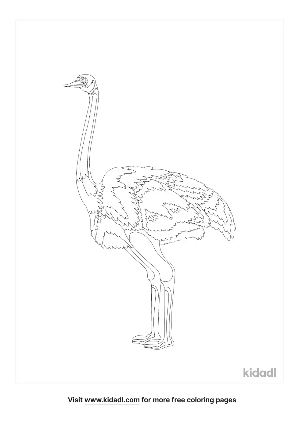 Rhea Bird Pictures Coloring Page