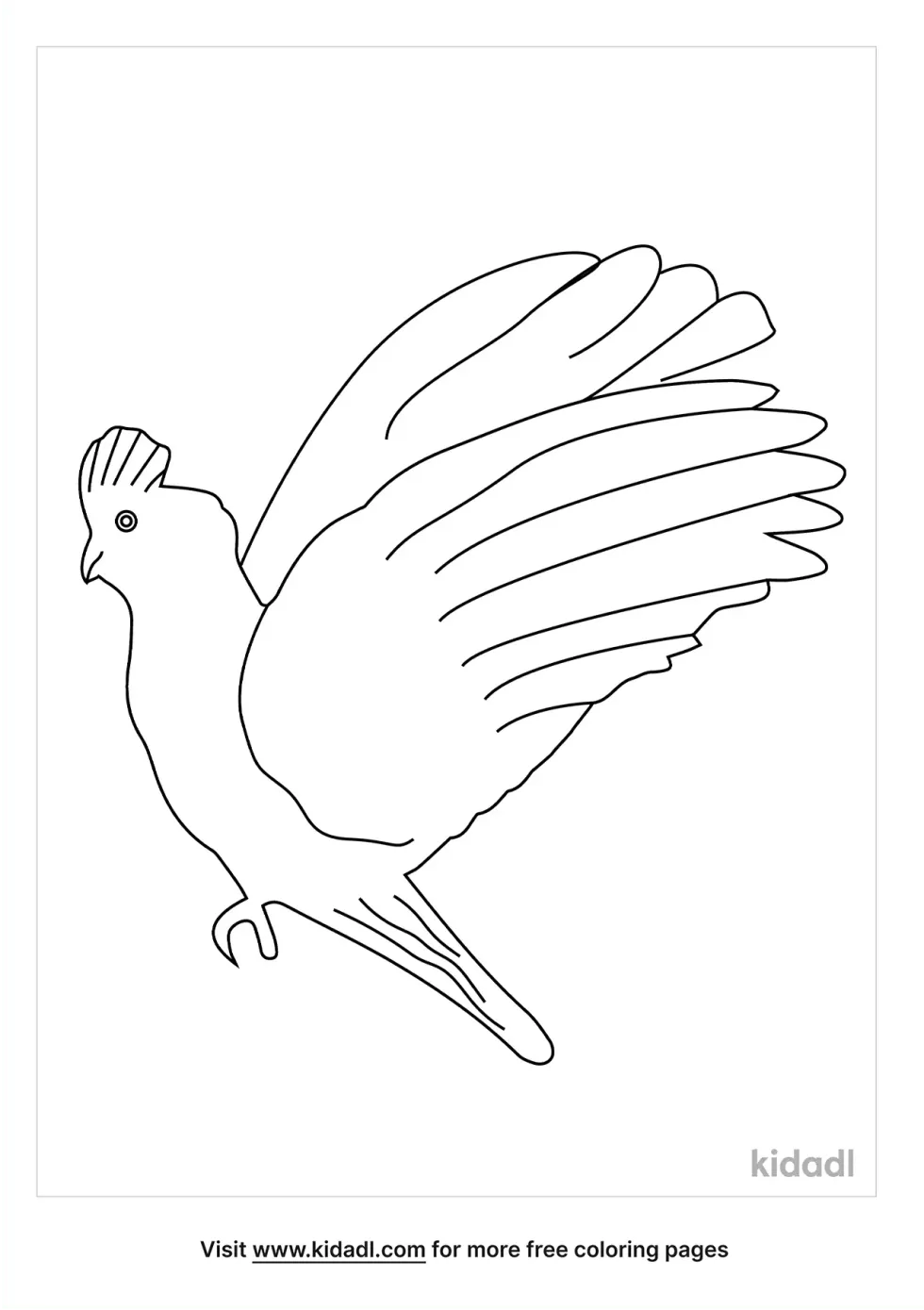 Flying Cockatoo Coloring Page