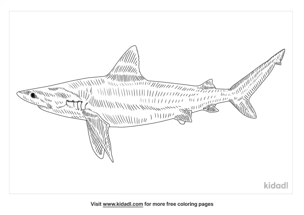 Bigeye Sand Tiger Coloring Page