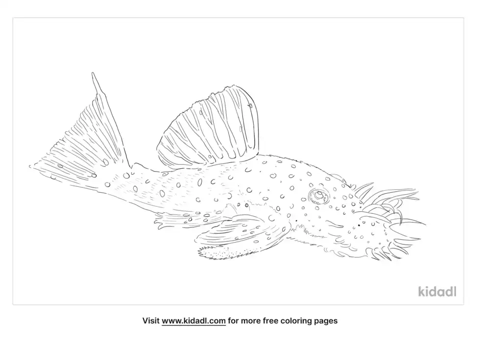 Bushymouth Catfish Coloring Page