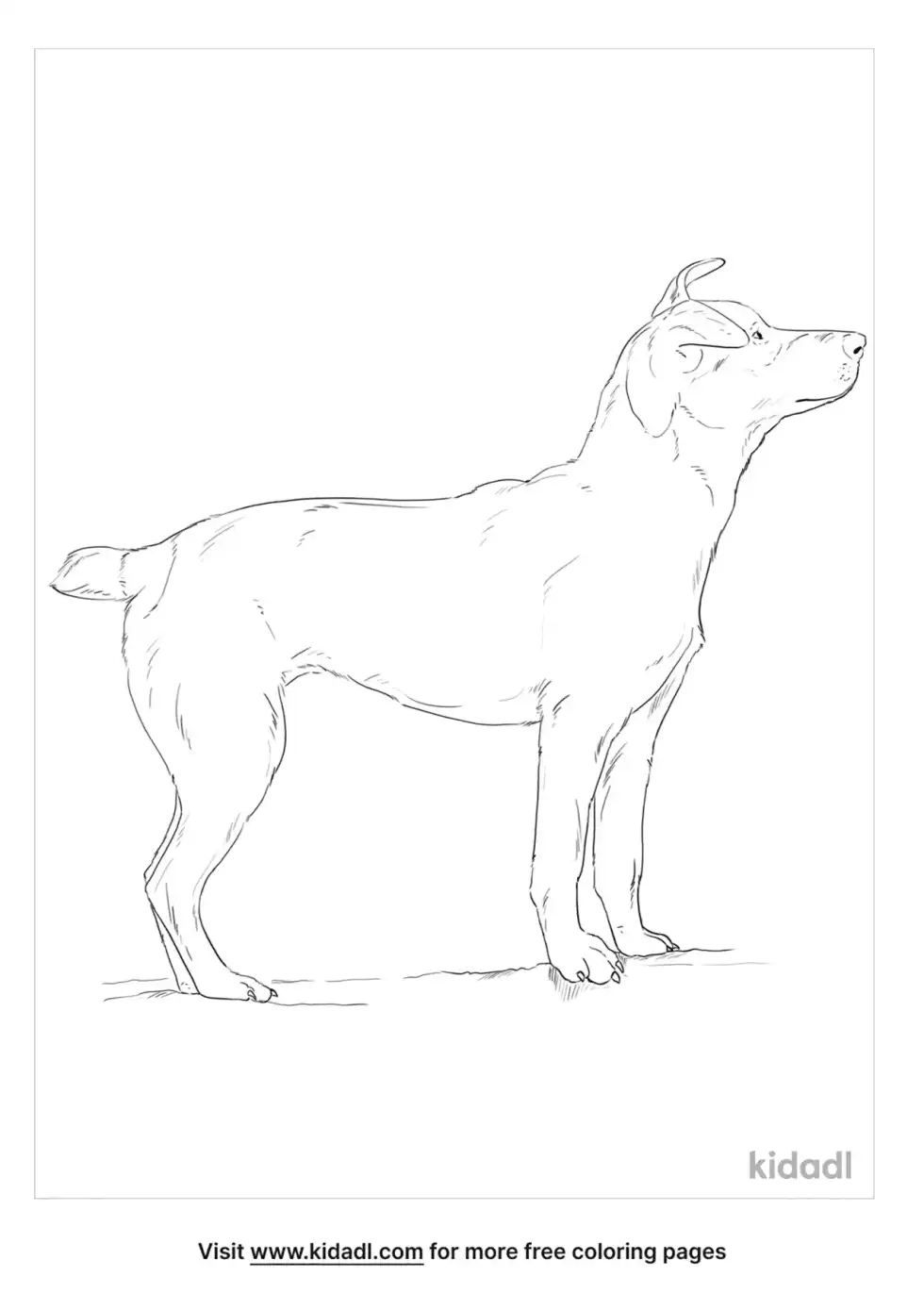 Feist Coloring Page
