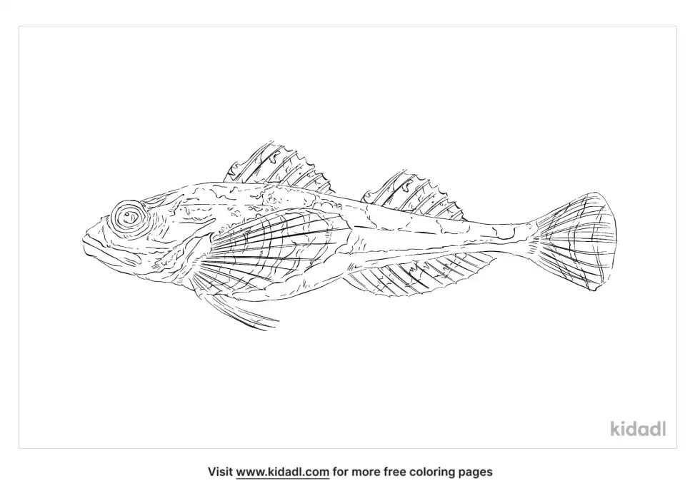 Staghorn Sculpin Coloring Page