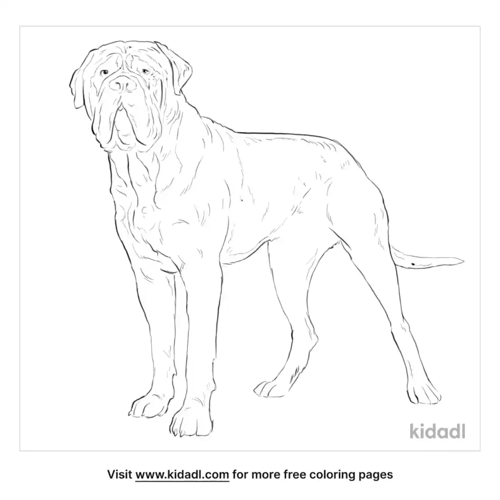Bullmastiff Coloring Page