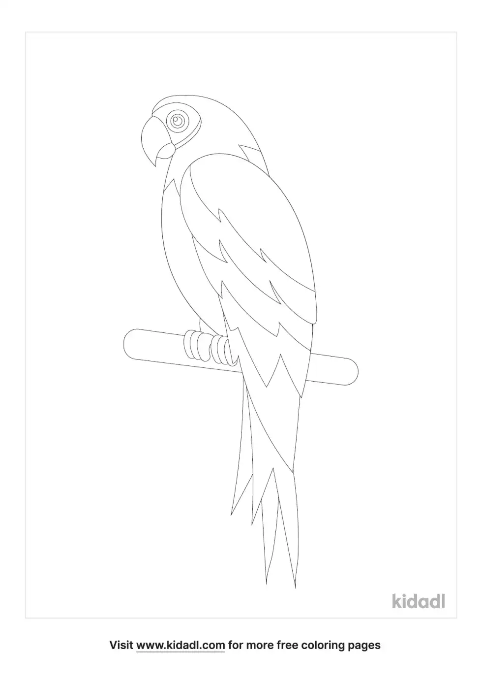 Red Collared Lorikeet Coloring Page