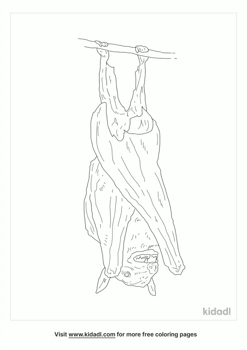 Dawn Bat Coloring Page