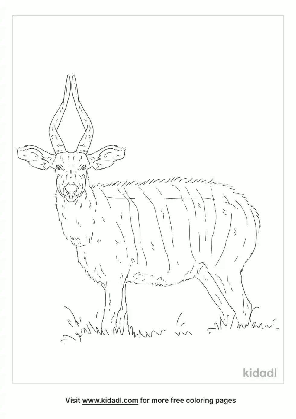 Mountain Bongo Coloring Page