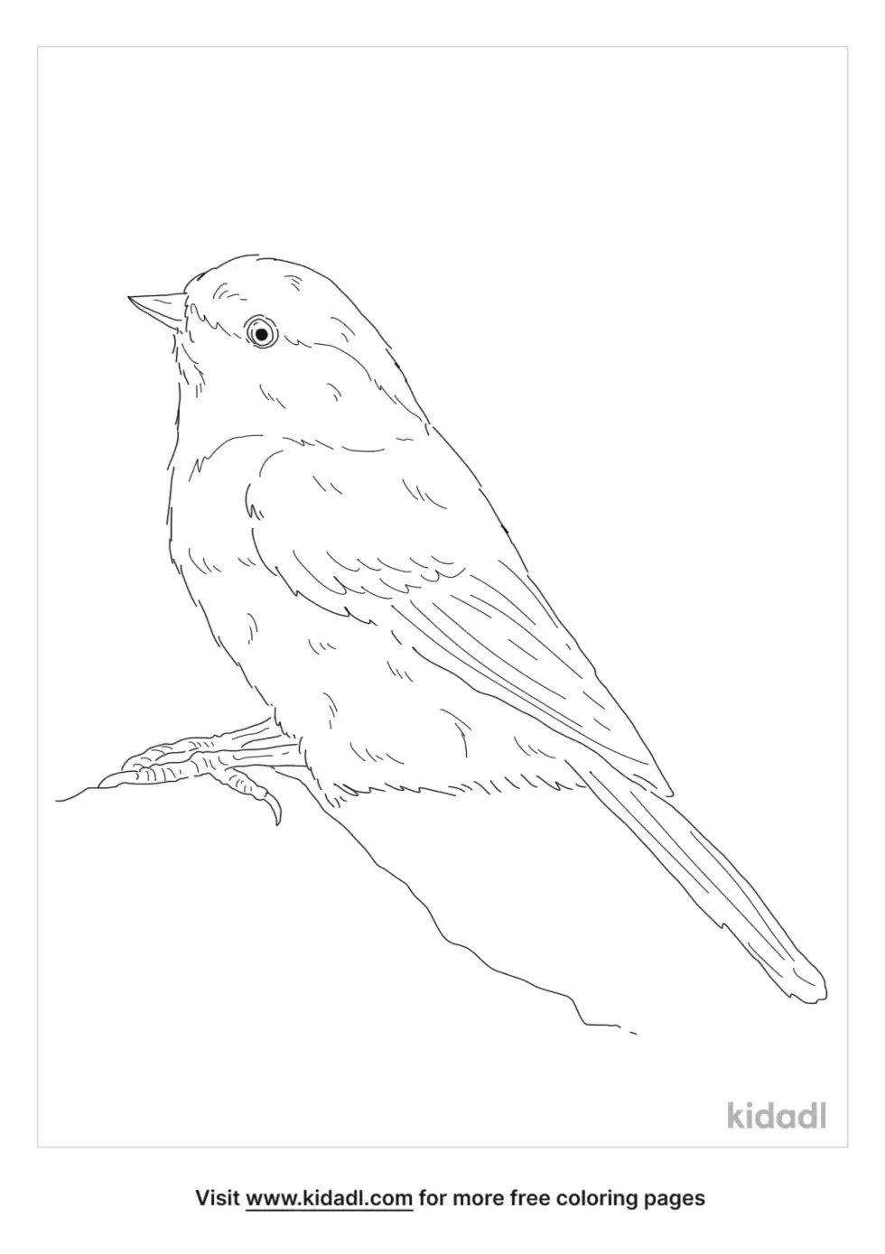 Marsh Tit Coloring Page